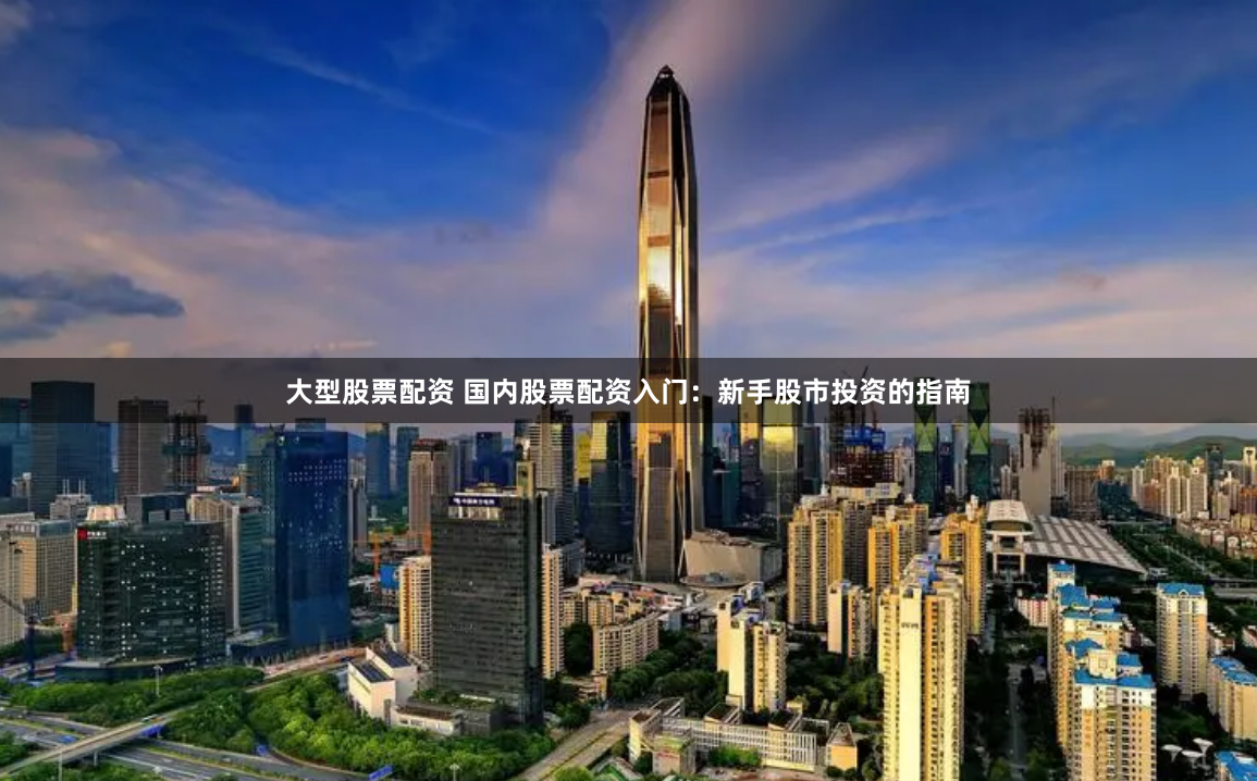 大型股票配资 国内股票配资入门：新手股市投资的指南